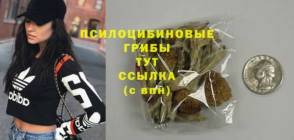 ГАЛЛЮЦИНОГЕННЫЕ ГРИБЫ Алзамай