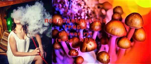 ГАЛЛЮЦИНОГЕННЫЕ ГРИБЫ Алзамай