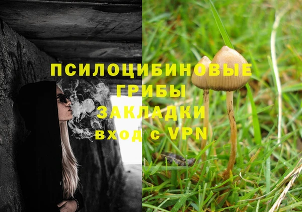 ГАЛЛЮЦИНОГЕННЫЕ ГРИБЫ Алзамай
